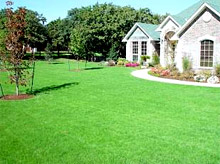 Weed Control services in North Oklahoma City, OK